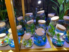 -远洋未来广场(育慧北路店)