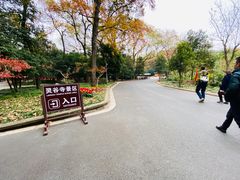 -灵谷景区