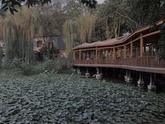 -巴山一绝烤全羊(三圣乡刘家花园店)