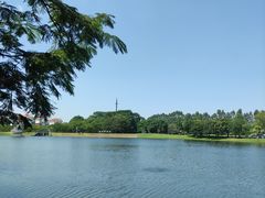 -东莞植物园