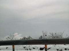 -武陵山森林公园