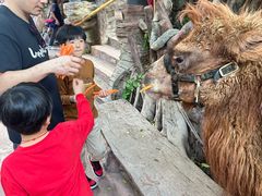 -长鹿旅游休博园