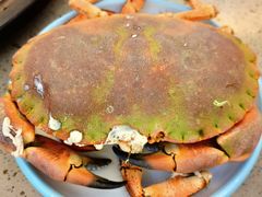 -四海蒸鲜蒸汽海鲜自助(北戴河店)