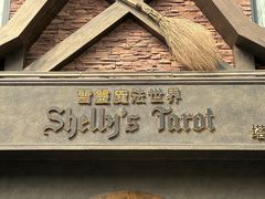 -雪灵魔法世界SHELLY’S TAROT(大良桂畔里店)