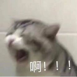 -MJ skin care国际皮肤管理中心