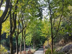 -广州白江湖森林公园