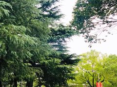 景点-东方绿舟景区