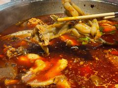 -蜀滋香鲜鱼美蛙火锅(339店)
