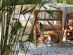 -翠贝卡&Mama Kelly Brunch Coffee(河西店)