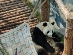 -大连森林动物园