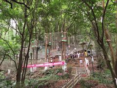 -天鹿湖森林公园