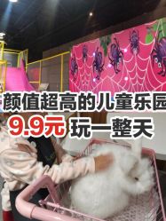点击看大图 -萌兔星空蹦床撸兔馆