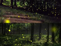 -东钱湖旅游度假区