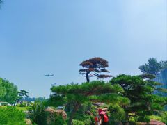 -罗红摄影艺术馆