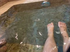 -中家鑫园温泉酒店鑫悦汤泉