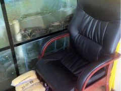 iphone_upload_pic-七欣天香辣蟹火锅(海门解放中路店)