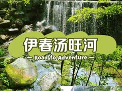 -汤旺河林海奇石景区