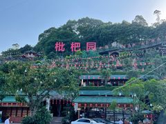 -枇杷园食为鲜火锅(南山店)