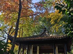 -杭州半山国家森林公园