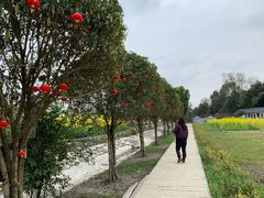 -洪湖家庭农场·团建·露营·会议