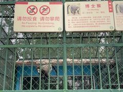 -秦皇岛野生动物园
