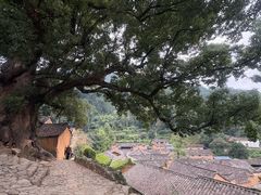 -杨家堂村