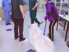 -天时宠物医院24小时疑难病例会诊中心(顾乡大街总院)