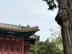 -大钟寺古钟博物馆