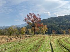 -塔川景区