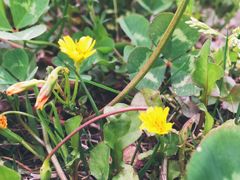 -艾溪湖湿地公园