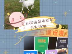 -前小桔亲子创意农场·草莓采摘·露营烧烤