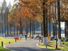 -东钱湖旅游度假区