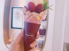 -哈根达斯(西安高新店)