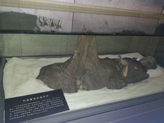 -巴音郭楞蒙古自治州博物馆