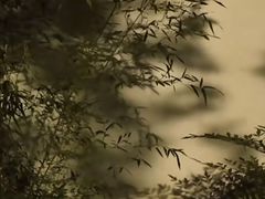 -巡塘古镇