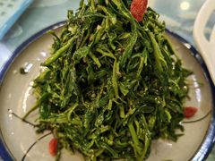 清香枸杞苗-国强手抓(西夏区店)