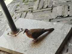 -见山书院