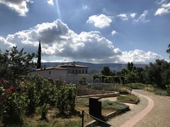 -奥林匹亚宙斯神庙