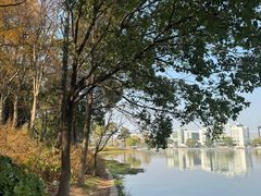 -美兰湖景区