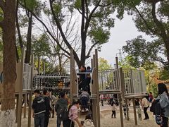 -宁波儿童公园(鄞州区)