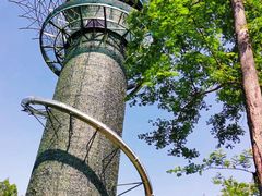 -黄海国家森林公园