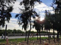 -宝安西湾红树林湿地公园