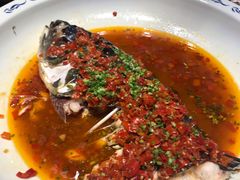 -森谷美食公园(杨行店)