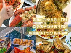 -亚龙湾热带天堂森林公园