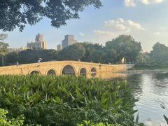 -荔湾湖公园
