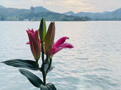 -柳莺湖上·湖景餐厅·江南菜(西湖店)