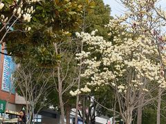-上海交通大学医学院附属仁济医院(南院)