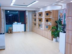 -猫十亿·布偶金渐层·曼基康矮脚猫舍(青年路店)