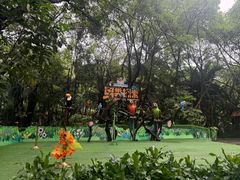 -广州长隆飞鸟乐园