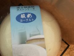 -卡滋贝诺动物奶油生日蛋糕(亚太潮尚店)